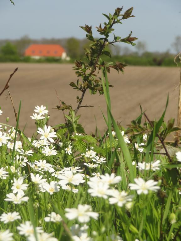 Land & Meer Hasselberg  Exteriör bild