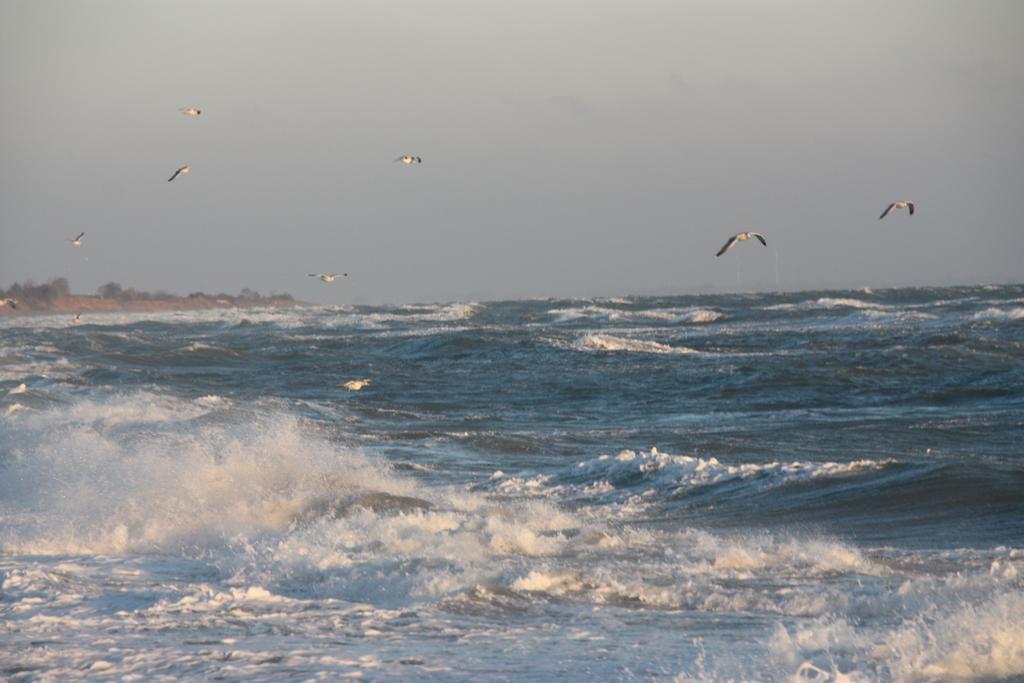 Land & Meer Hasselberg  Exteriör bild